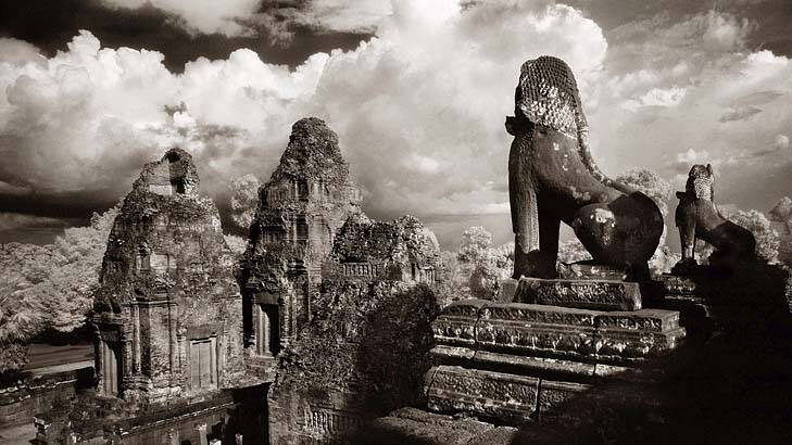 Beauty and the beast ... Angkor's temples.