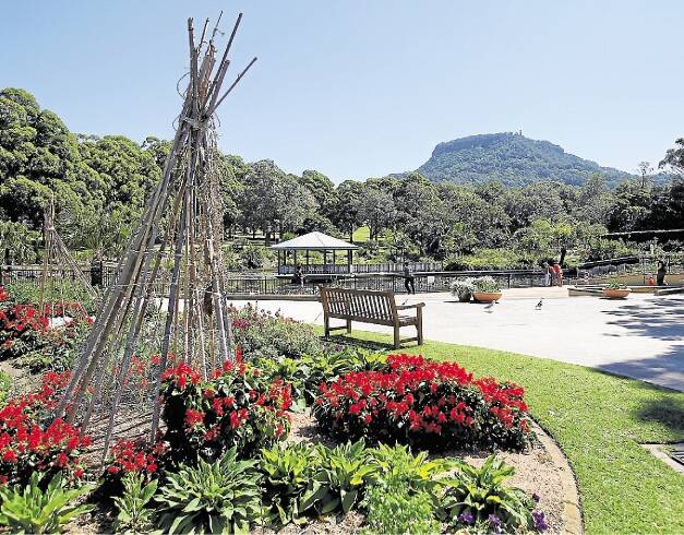 MERCURY NEWS WOLLONGONG BOTANICAL GARDENS. Picture shows the Wollongong Botanical Gardens. Photo taken on the 26th of September, 2013.Photo Christopher Chan, Story Louise Turk.