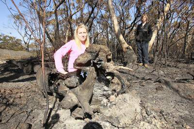 Residents Leonie and Ross Murray in part of the 1600 hectares of bush burned out by the blaze at Darkes Forest. More than 100 firefighters battled through Friday night to contain the fire, which threatened homes and forced the closure of the F6. Picture: DAVE TEASE