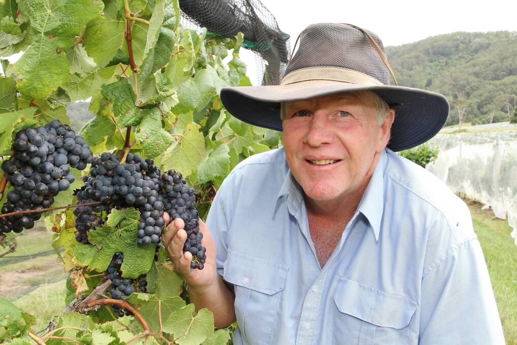 Vigneron Greg Bishop couldn't be happier about this year's vintage. Picture: GREG ELLIS