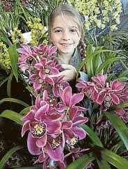 Tameka Gaskell, 10, of Mt Keira shows a selection of orchids from the society's annual exhibition at the Illawarra Yacht Club.