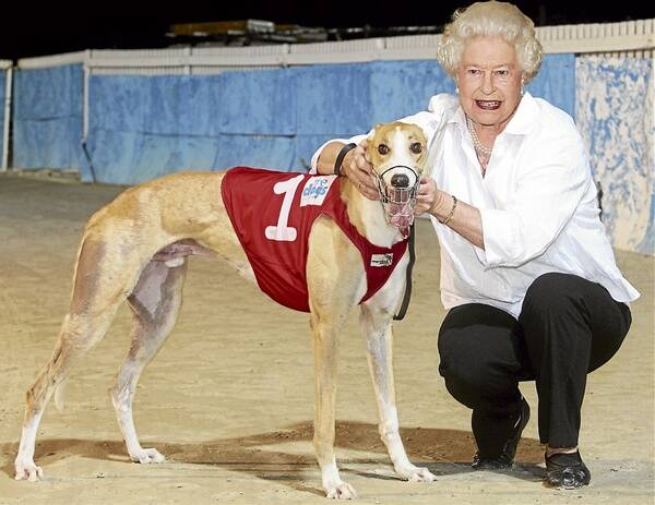 The Queen visits the Dapto greyhound track. Picture digitally altered.