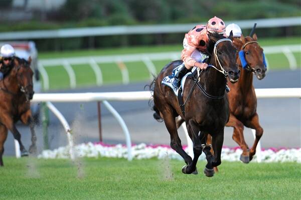 Black Caviar notches her 17th win in a row in the Group 2 Australia Stakes last night.  Picture: VINCE CALIGIURI