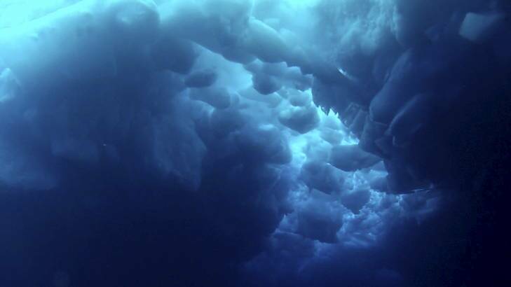 Frozen world ... vision from beneath the Southern Ocean.
