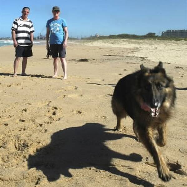 Simon Garrity and Melissa Meadham walk seven-year-old German shepherd Rex on Coniston Beach. They're hoping the beach will retain its off-leash areas.Picture: KIRK GILMOUR