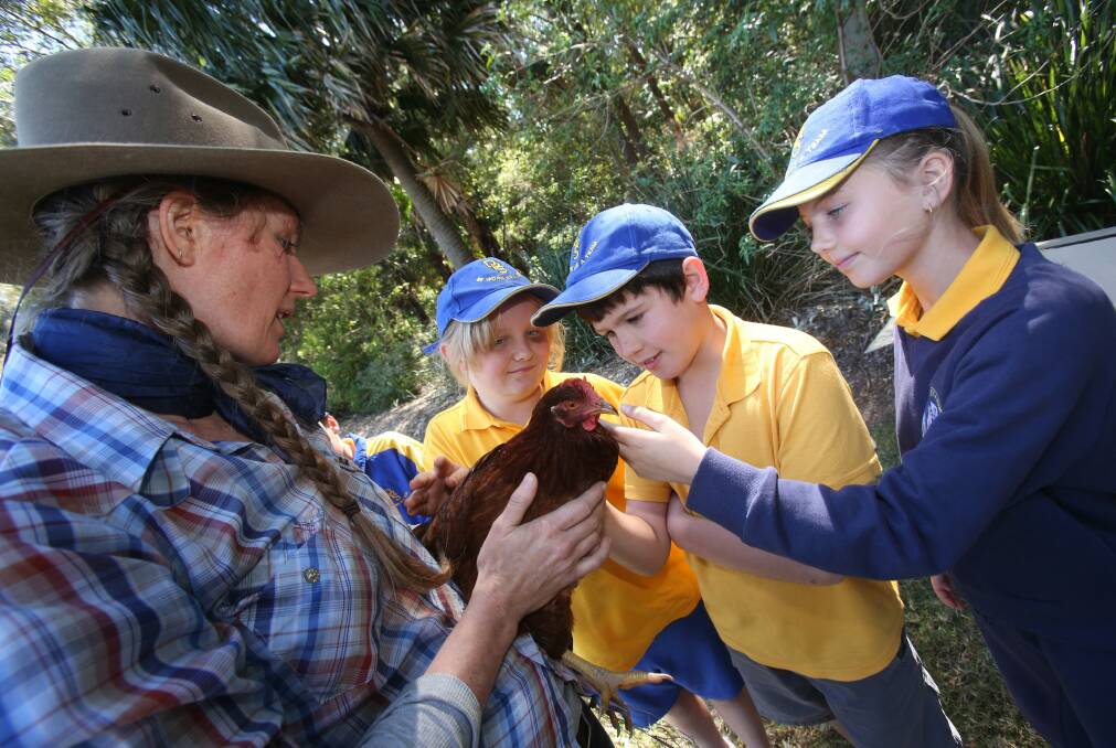 Vanessa John shows a chicken to Dapto Public School students Richelle Fuller, Jack Owens and Emily Thomas. Picture: ROBERT PEET
