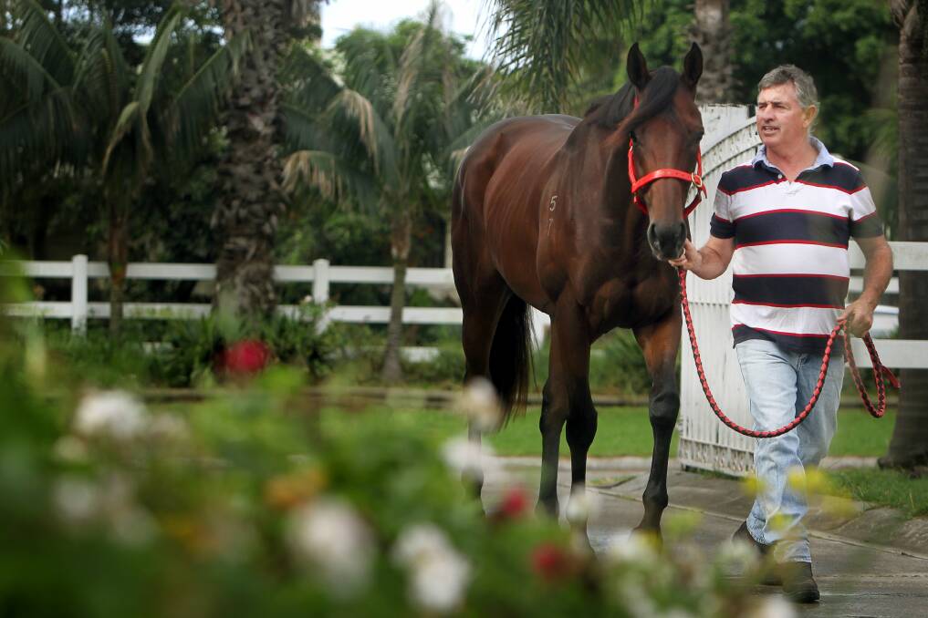 Trainer Paul Murray takes Alma's Fury for a stroll. Picture: SYLVIA LIBER