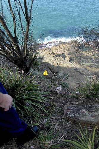 The cliff top where Janet Campbell was pushed to her death. Picture: EDWINA PICKLES