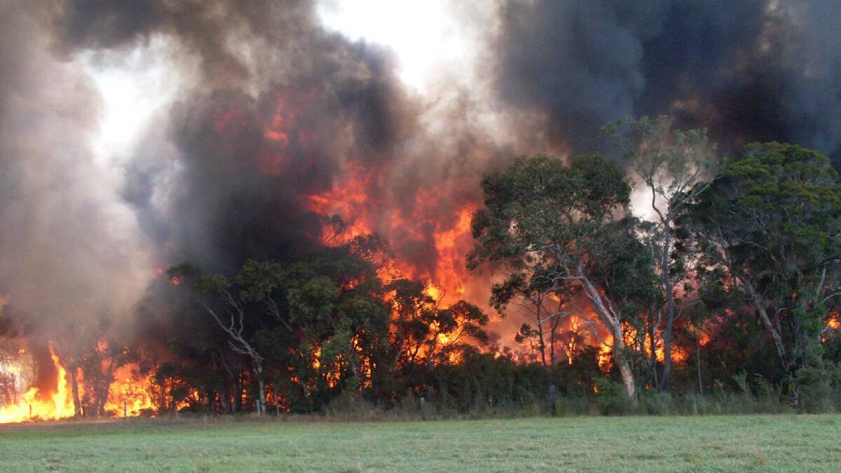 Fire near Melbourne St, Aberdare in the NSW Hunter. Photo: RFS