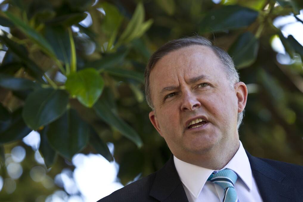 Labor spokesman for Infrastructure and Transport Anthony Albanese. Pictuer NIC WALKER