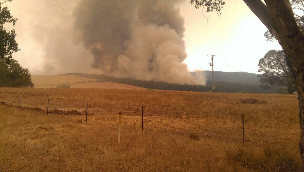 Bushfire near Wagga Wagga. Picture: Twitter, ALEX McCONACHIE