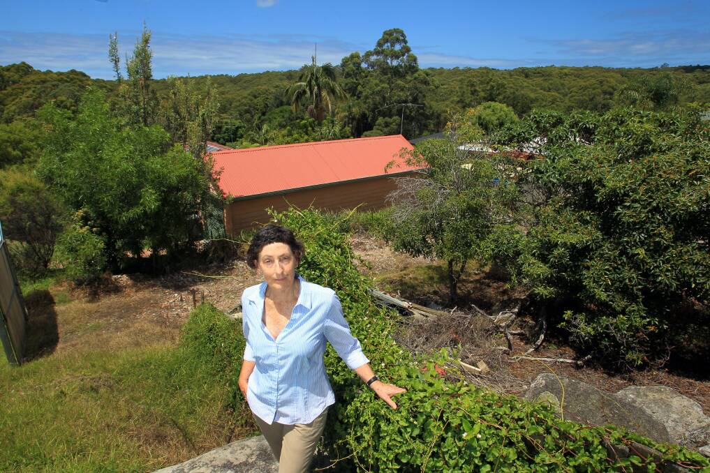Cr Jill Merrin with the Otford farm in the background. Picture: ORLANDO CHIODO