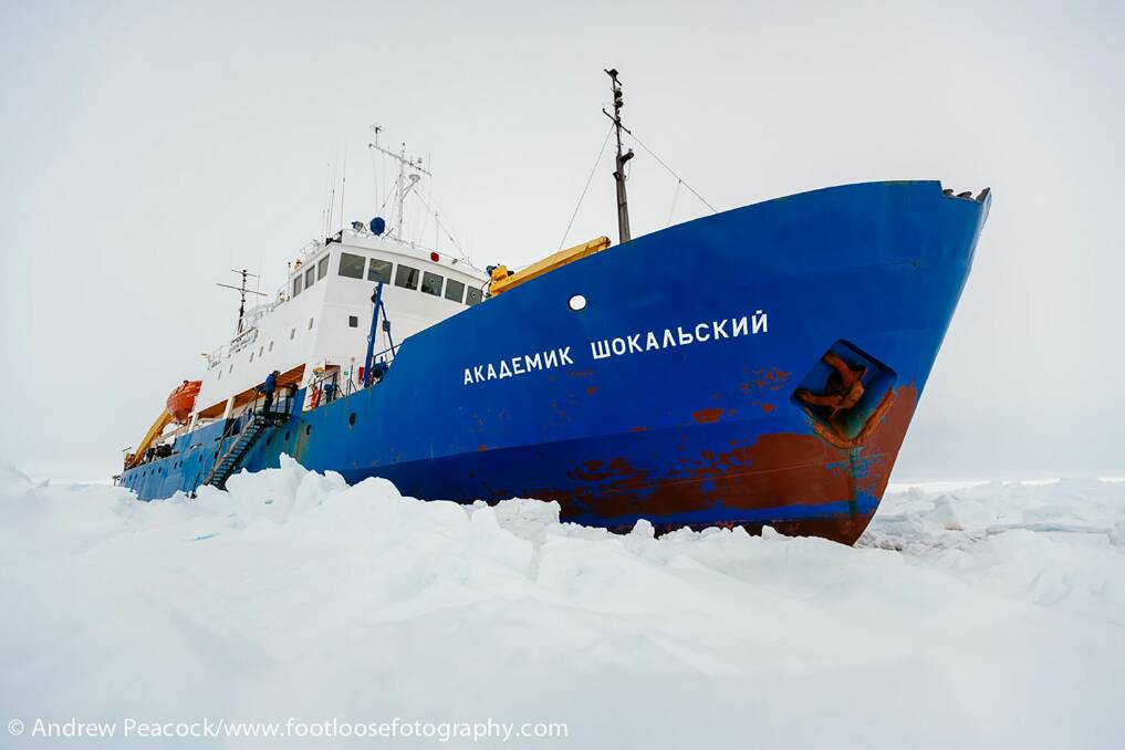 MV Akademik Shokalskiy trapped in ice off Antarctica. Picture ANDREW PEACOCK