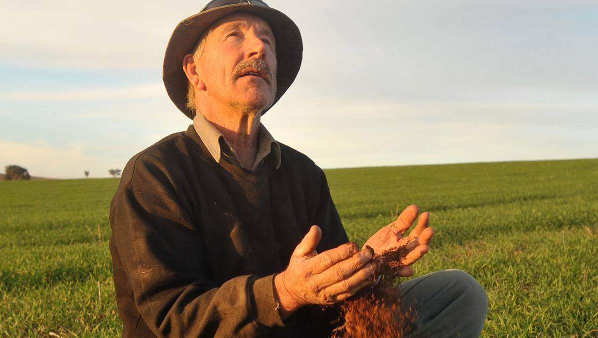 Wantabadgery farmer Tony Clough hoping for more rain on the way for his crops. Picture: Alastair Brook (DAILY ADVERTISER) 