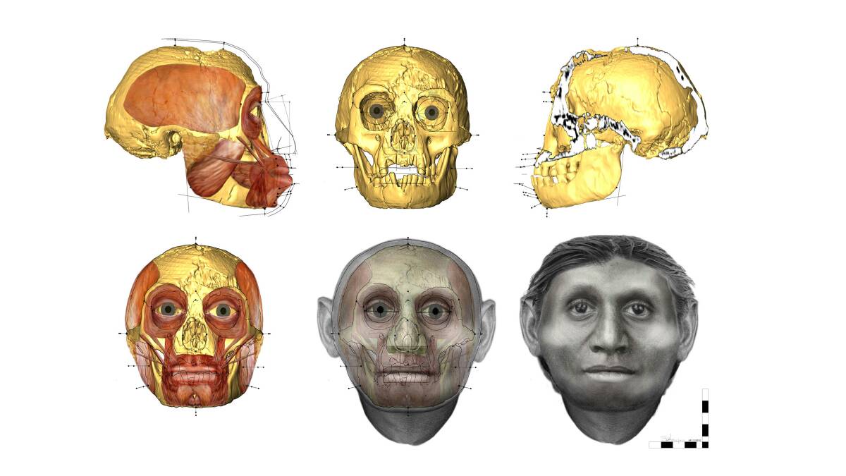 The new facial reconstruction of Homo floresiensis by UOW facial anthropologist Dr Susan Hayes
