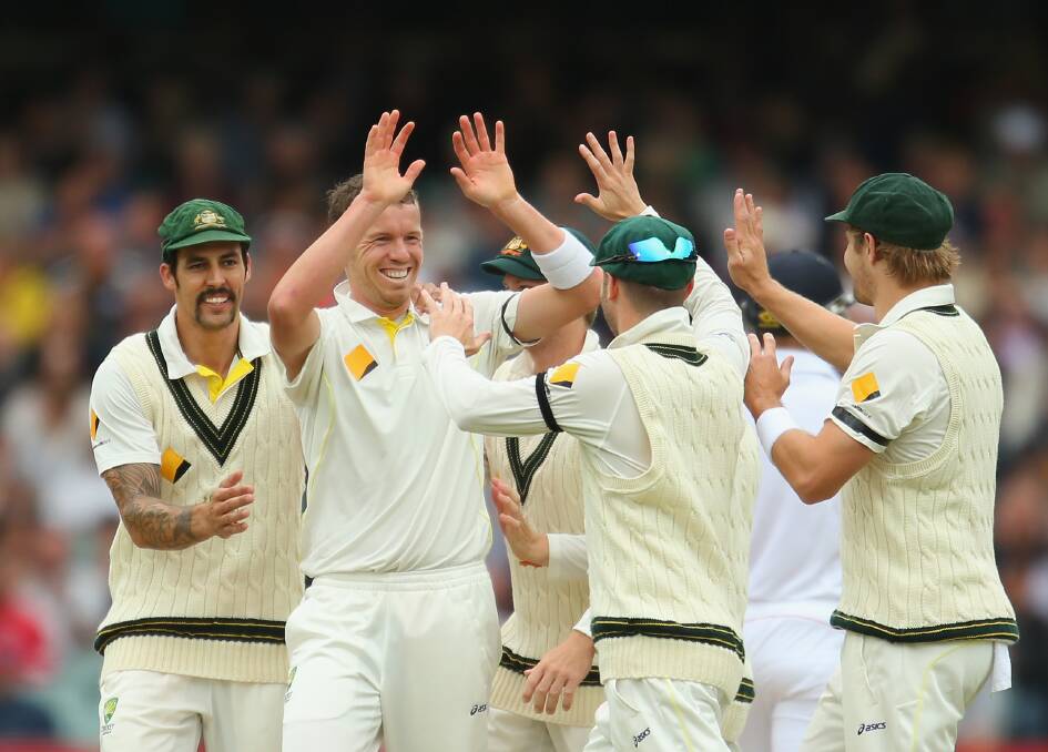 Gone: Peter Siddle (second from left) celebrates the dismissal of Matt Prior.