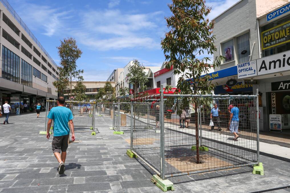 Temporary fences were placed around gum trees in Wollongong mall yesterday. Picture: ADAM McLEAN