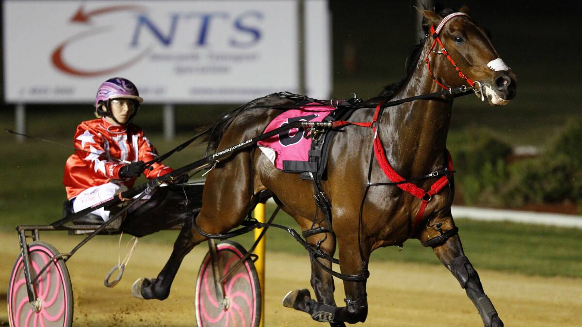 Mach Beauty can repeat his win over For A Reason, insists trainer Shane Tritton. Picture: MAX MASON-HUBERS
