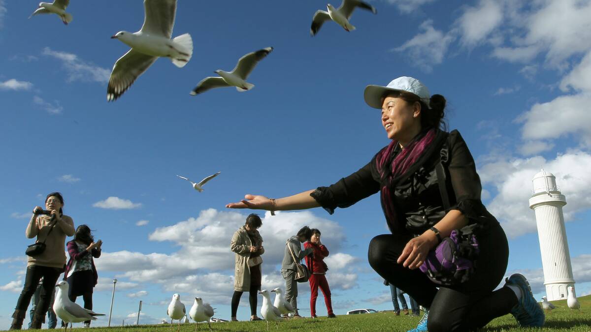 Chinese tourists at Flagstaff hill.
