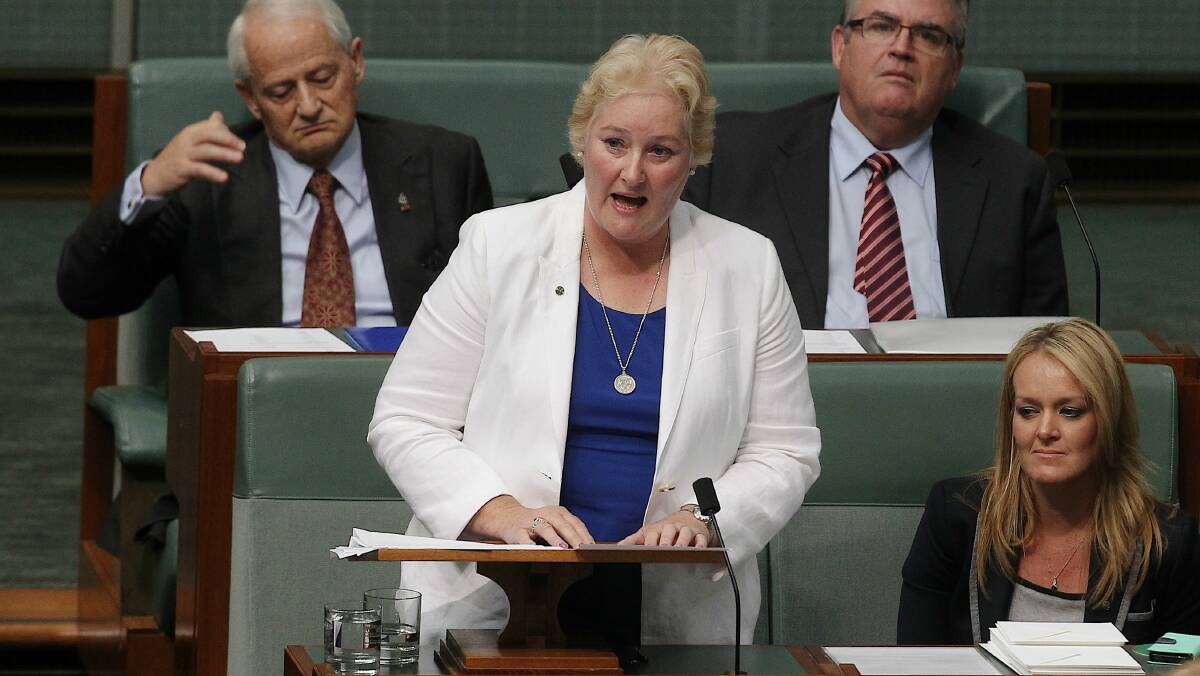Gilmore MP Ann Sudmalis delivers her maiden speech at Parliament House yesterday. Picture: ALEX ELLINGHAUSEN