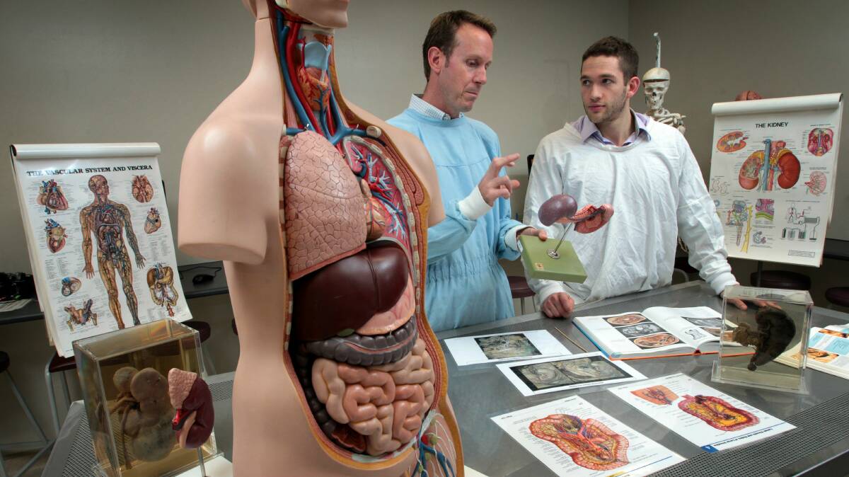 University of Wollongong’s body donation program co-ordinator, Dr Darryl McAndrew, with medical student Zach Pancer who is taught using a variety of plastic models, textbooks, computer imagery and cadaver material. Picture: KEN ROBERTSON