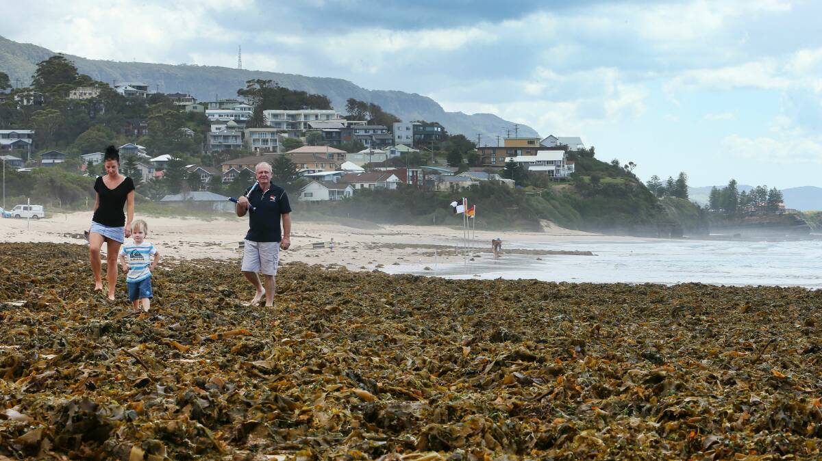 Thirroul resident Gary Chapman and daughter Pip Fenwick and grandson Will Fenwick at Thirroul beach yesterday. Picture: KIRK GILMOUR