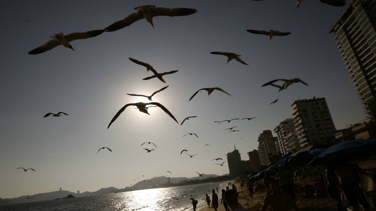 Seagulls flock over a beach in Acapulco, Mexico. Picture: REUTERS