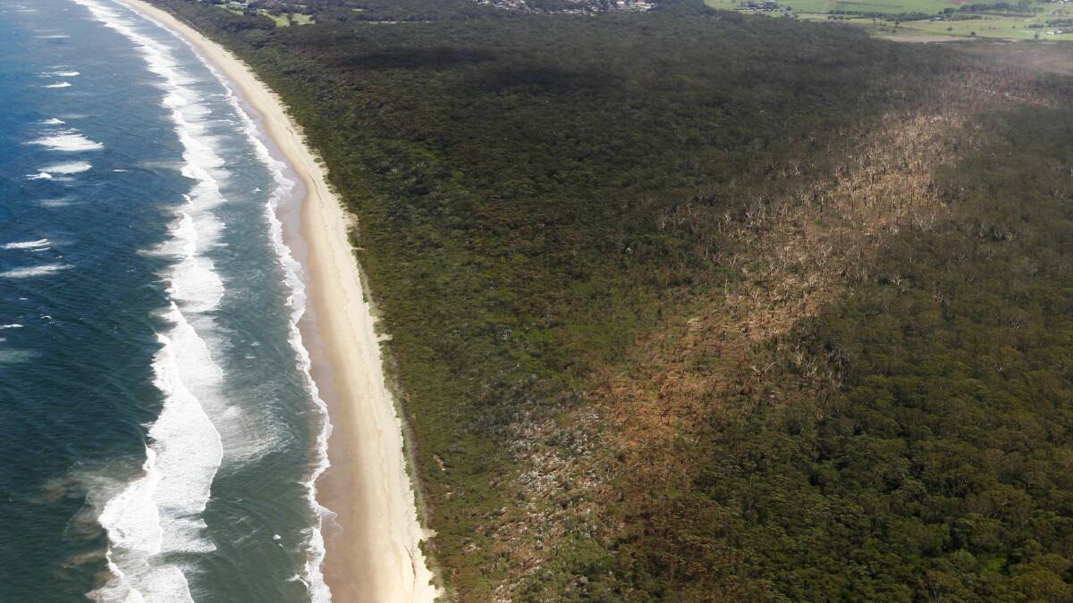 An aerial view of the destruction along Gerroa's Seven Mile Beach. Pictures: ANDY ZAKELI
