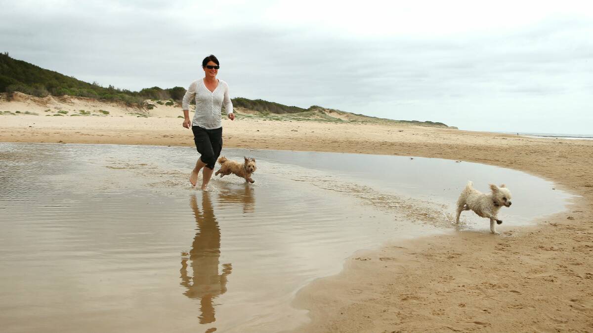 Jacinta Peperkamp plays with her dogs Boo and Molly in the lagoon at East Corrimal beach. Picture: KIRK GILMOUR