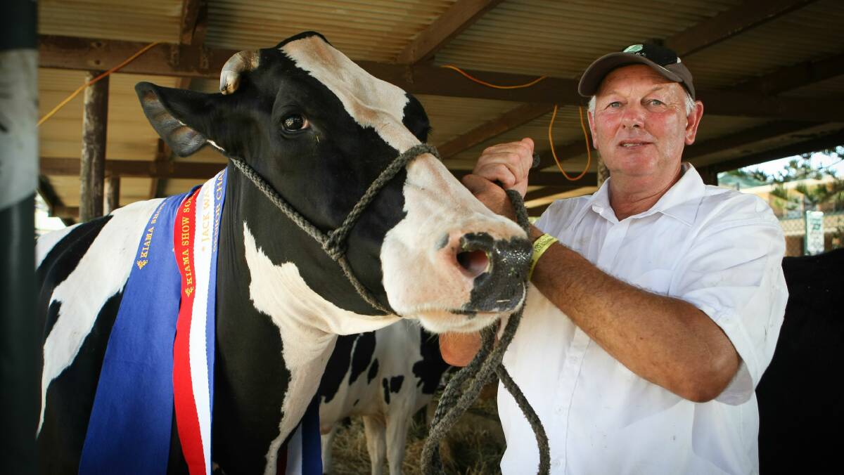 Peter Cullen with his prized cow, which won Most Successful Holstein. 