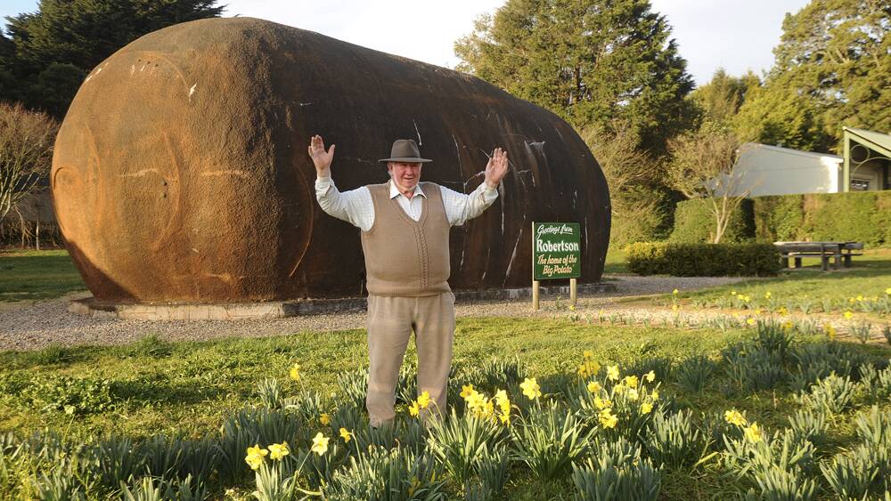 The land on which Robertson’s Big Potato sits  is peeling rates dollars from its owner, Jim Mauger.  The site has been labelled the best block in town. Picture: ROY TRUSCOTT