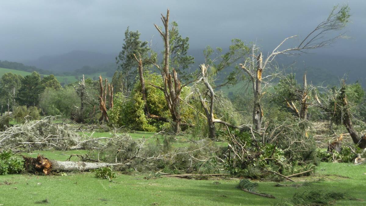  Jamberoo Golf Club's back nine holes were "ripped to pieces". Picture: SUE PAUL