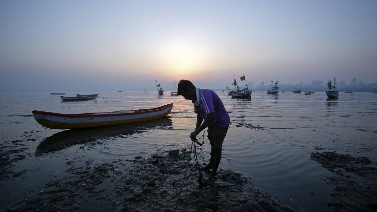 A fisherman steers his boat towards the shore in Mumbai, India. Picture: REUTERS