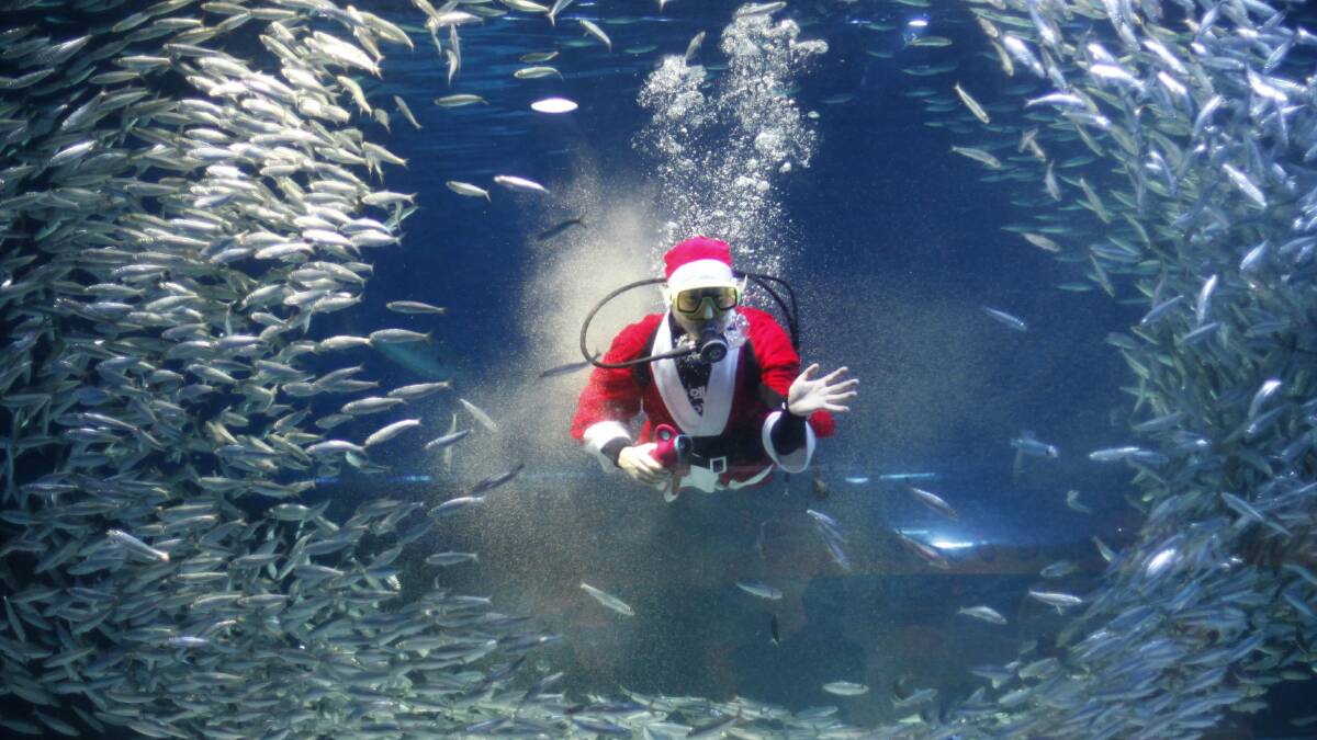 A diver dressed as Santa Claus in Seoul, South Korea.  Picture: REUTERS
