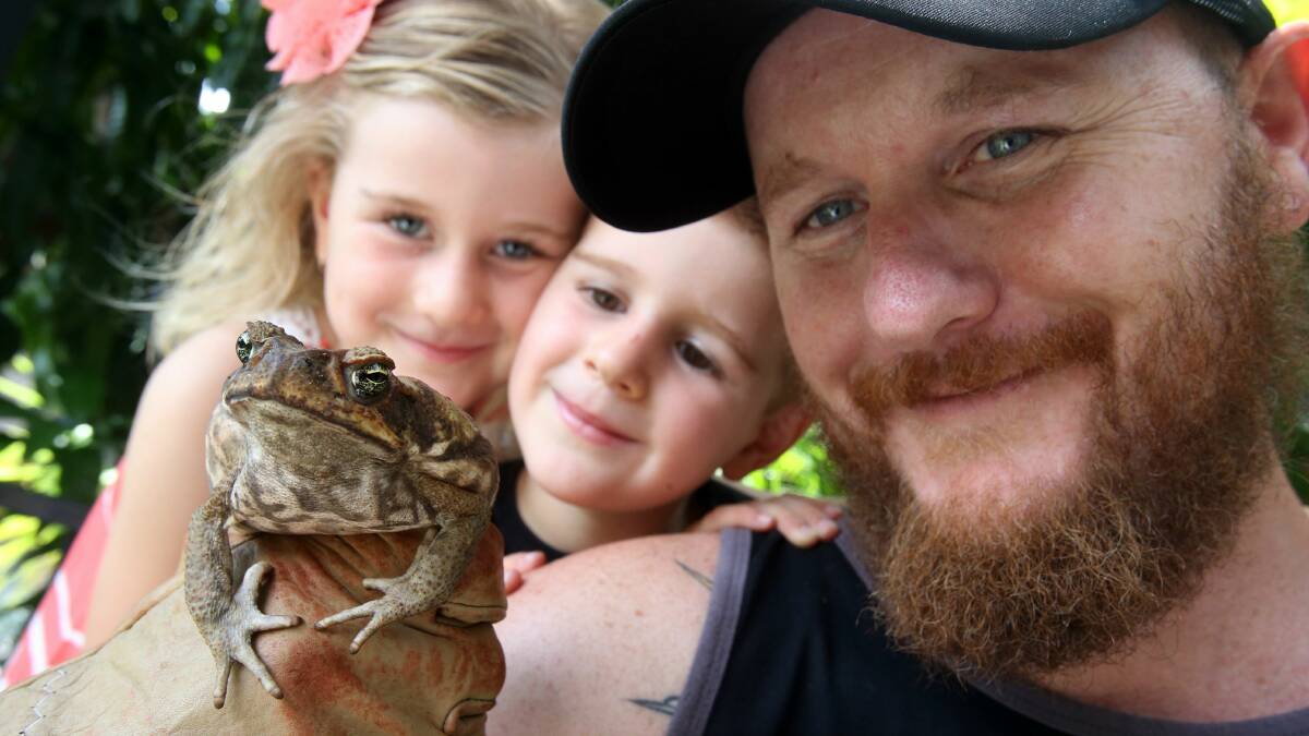 Travis Teal with his children Molly, 5, and Finn, 4, and the cane toad. Picture: ROBERT PEET