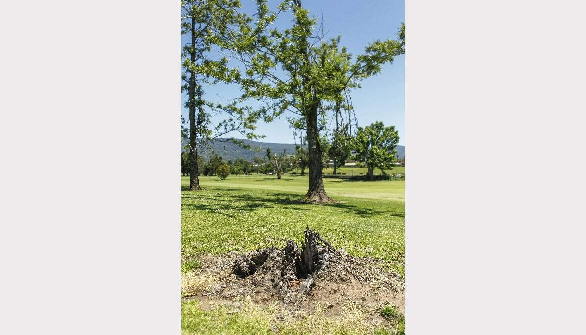 Some trees at the course have yet to recover. 