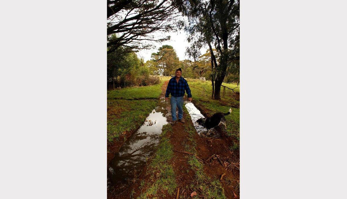 Fifth generation dairy farmer Neville McEvilly and his dog, Suzie, enjoy the rain in Robertson.