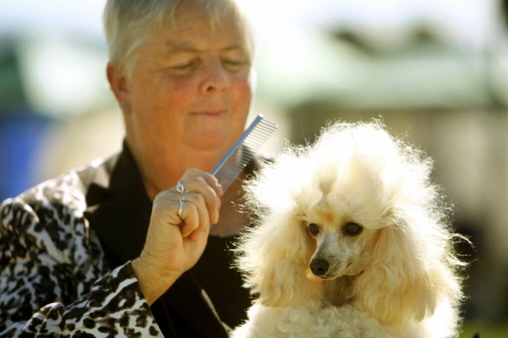 Rosalie Mayo-Ramsay with Rodger the toy poodle.
