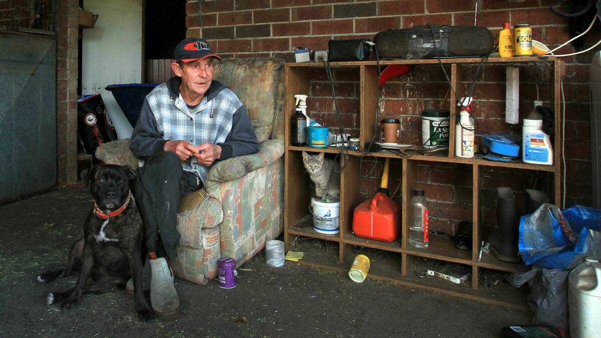 Veteran Kembla trainer Mick Tubman at his stables yesterday. Picture: ORLANDO CHIODO