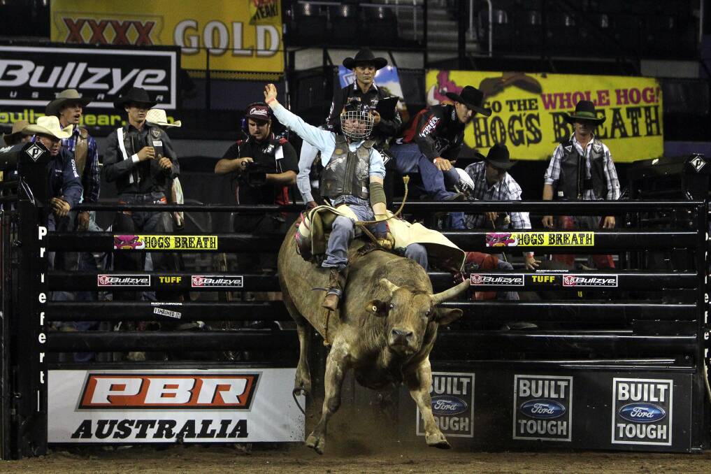 Matt Boland and the bull who bucked him off. Picture: SYLVIA LIBER