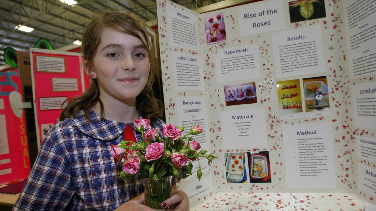 Imogen Apps from Mt Annan Public School with her Rise of the Roses experiment. Picture: ANDY ZAKELI