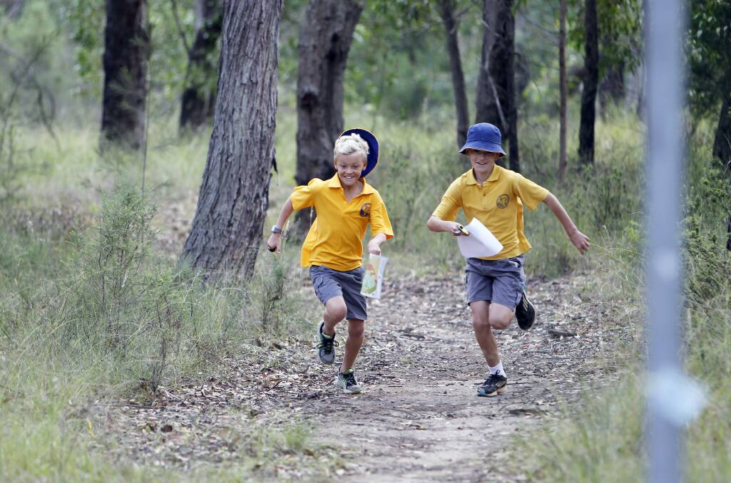 Students discover Croome bushland using mapping skills. Picture: ANDY ZAKELI