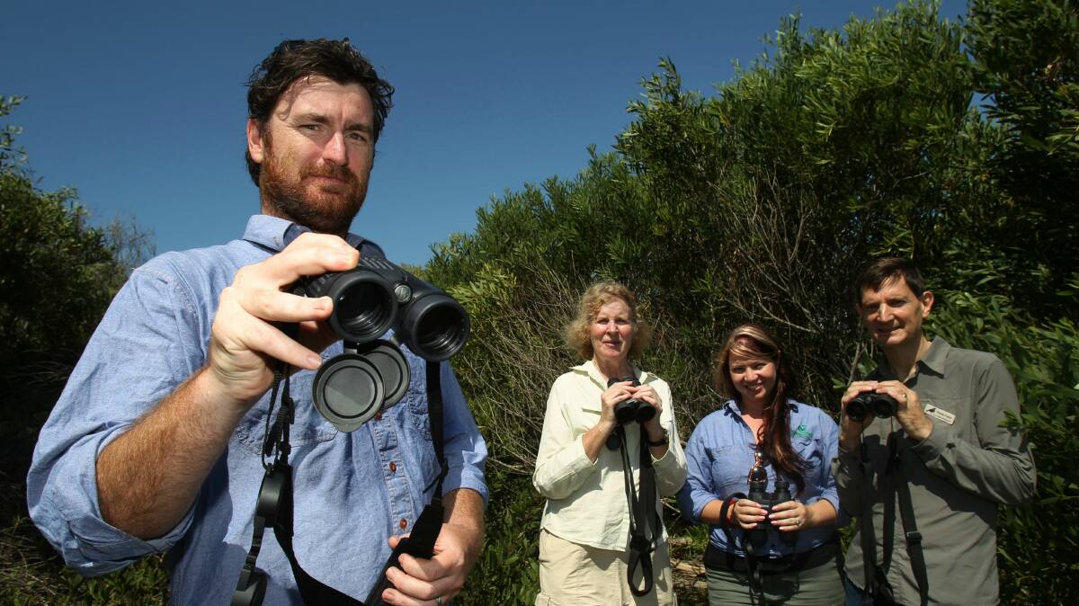 Adam Woods (front), Lorraine Pincus, Jess Foster and Martin Potter track down wader birds around Lake Illawarra.Picture: GREG TOTMAN