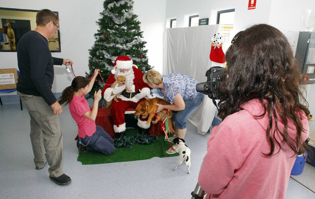Santa has his photo taken with a couple of family pets at the Wollongong RSPCA. Picture: ANDY ZAKELI