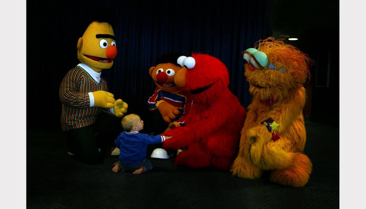 Flinders toddler Jett Russo suffered no stage fright when he met Bert, Ernie, Elmo and Zoe.