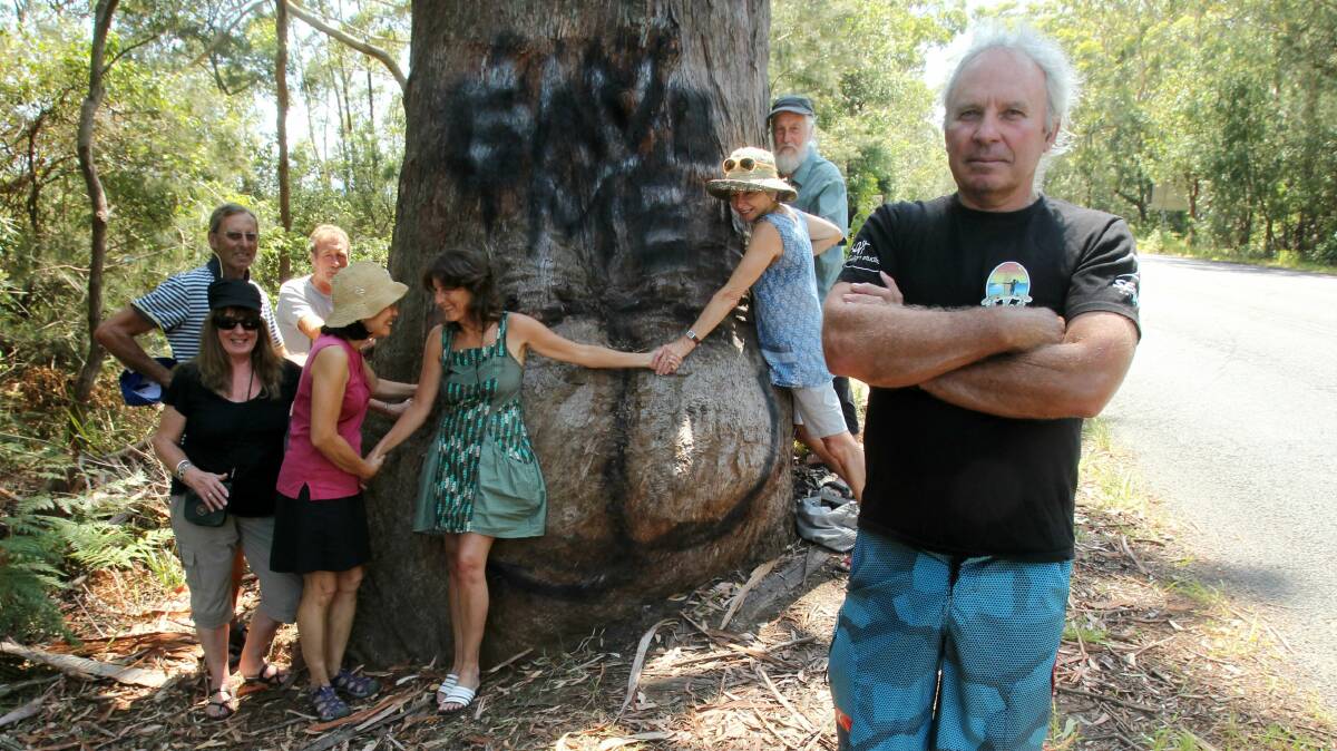 Environmentalist Warren Holder at the threatened Bum Tree. Picture: GREG TOTMAN