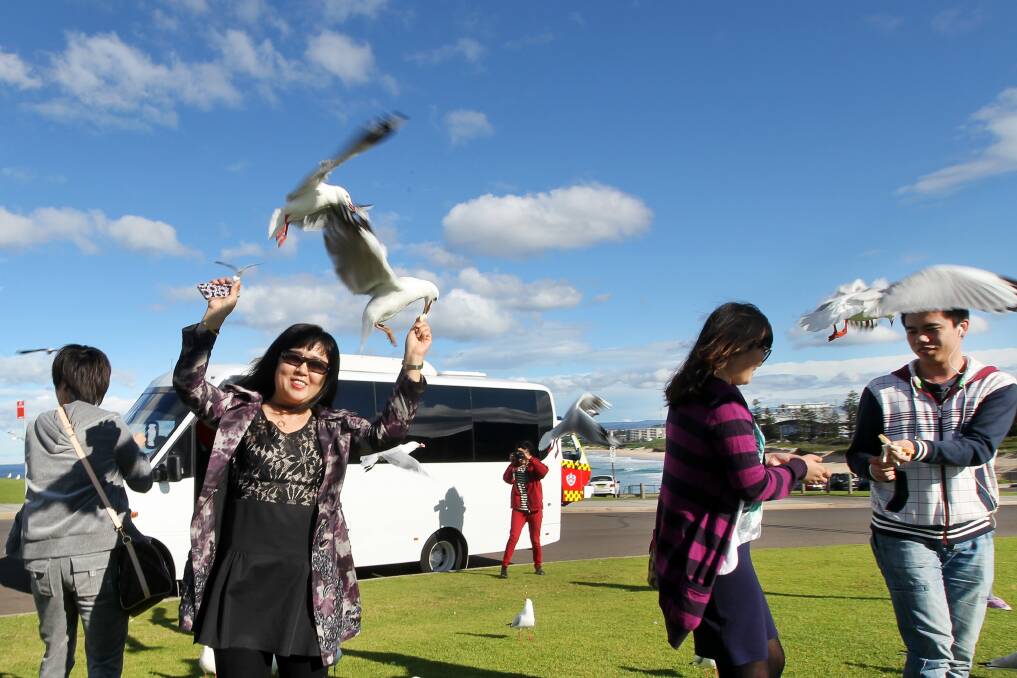 GALLERY: Tourism taking off in the Gong