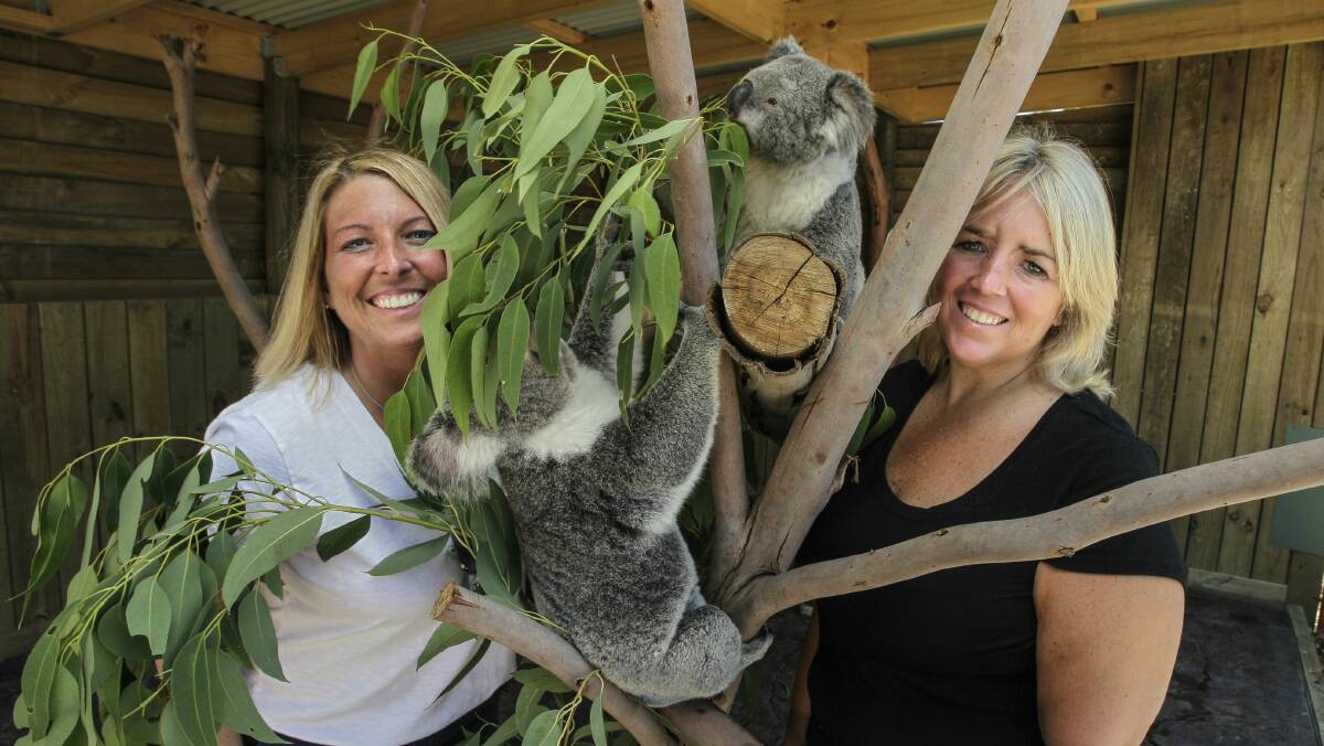 Bon Jovi fans Heather Donovan and Tammy Stgeorge at Symbio Wildlife Park. Picture: CHRISTOPHER CHAN