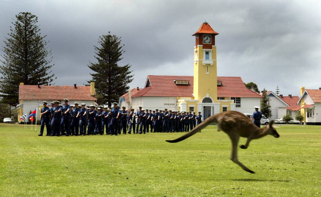 A resident kangaroo joins in the drill for naval college HMAS Creswell's open day in Jervis Bay National Park.