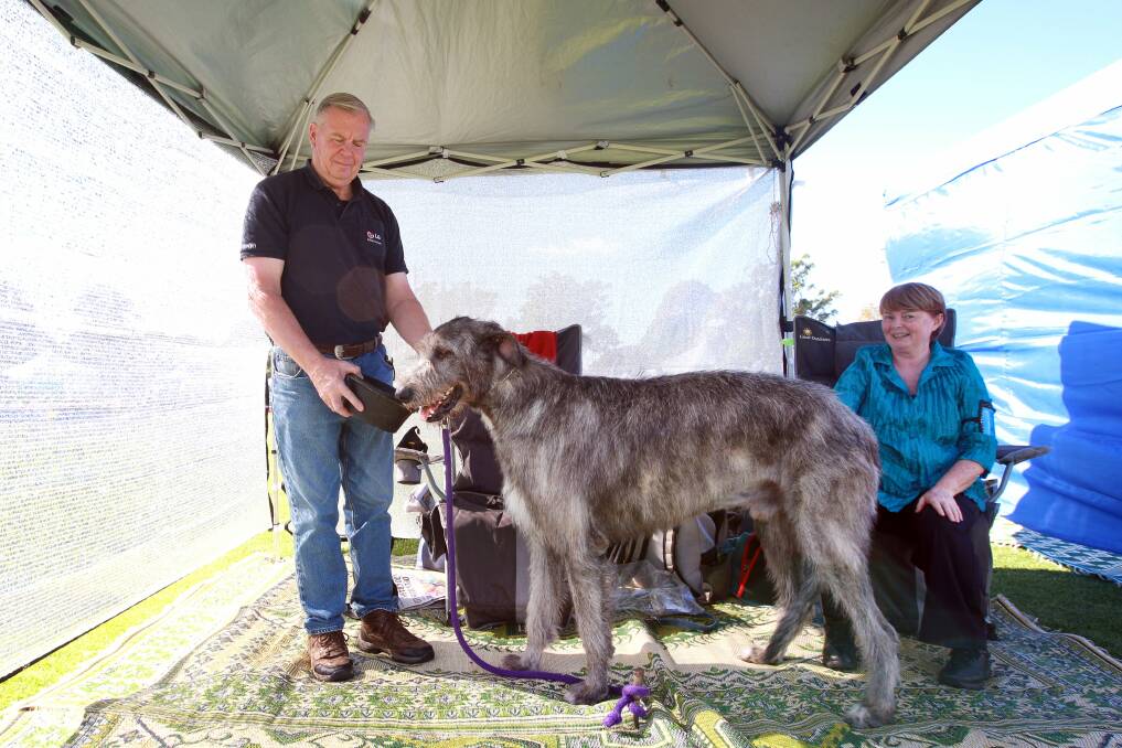 Margaret and Raymond South with Bazza the Irish Wolfhound.